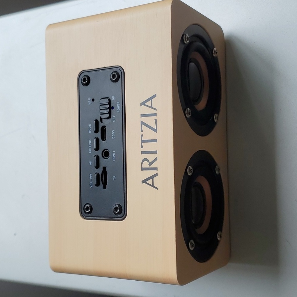 Aritzia Bluetooth Speaker Birchwood